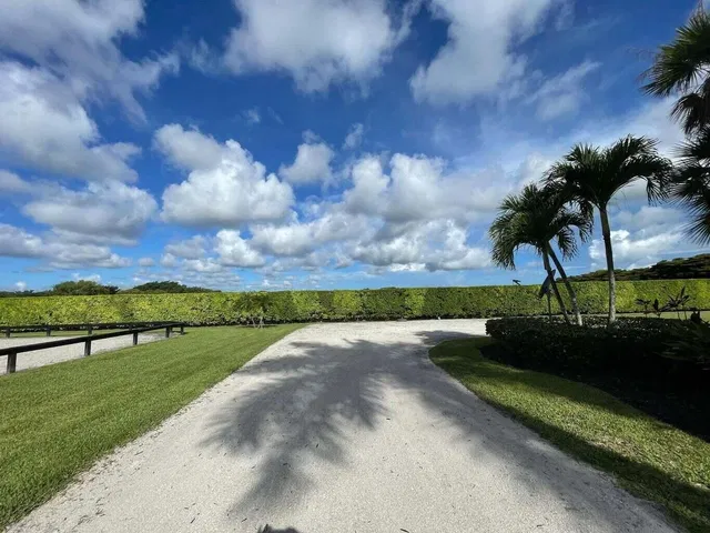 Palm Beach Point Residence photo 41