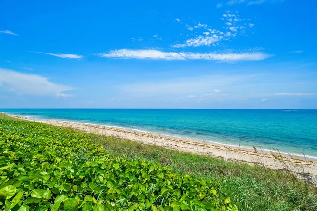 Sloan's Curve Palm Beach Unit 208n photo 22