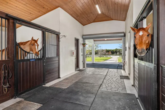 Palm Beach Point Residence photo 27