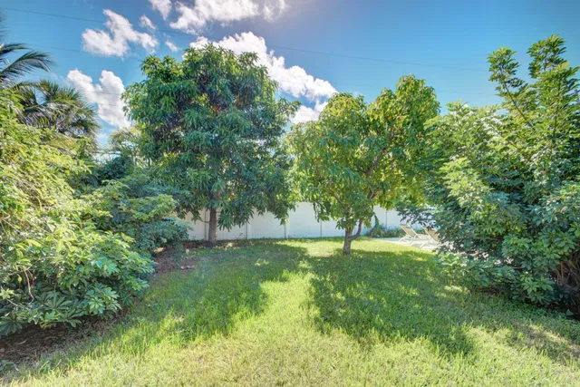 Palm Beach Isles Residence photo 44