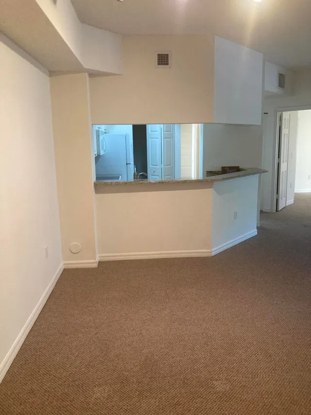 Unit 103 photo 28