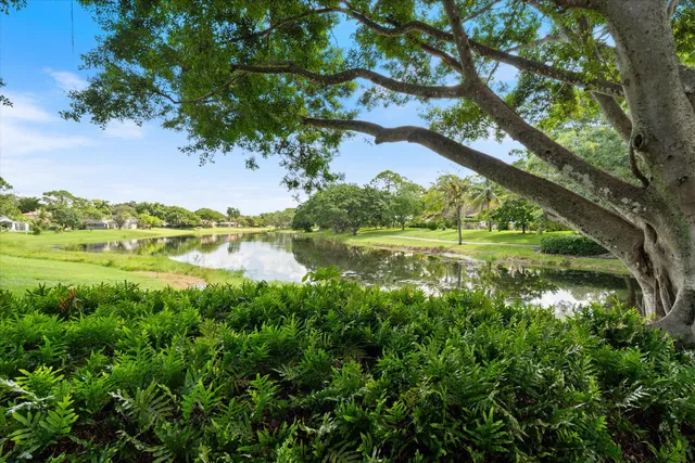 Millpond Boca Raton Residence photo 60