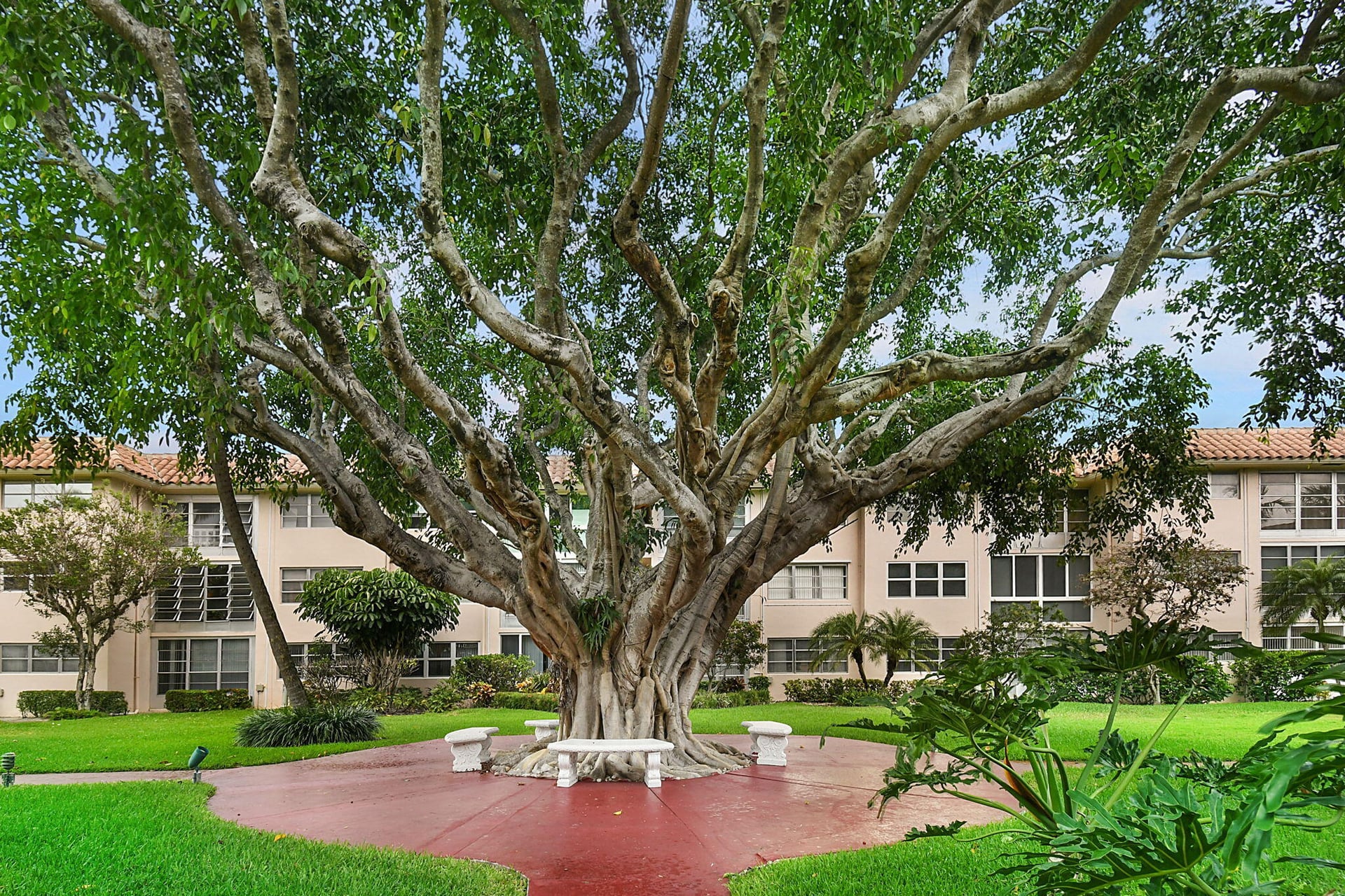  Unit A207 photo 51