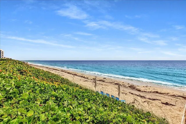 Emeraude Palm Beach Unit 201 photo 59