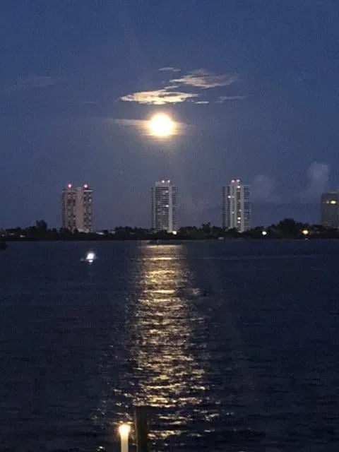 Singer Island Unit 10a photo 39
