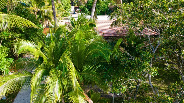 Residence photo 6