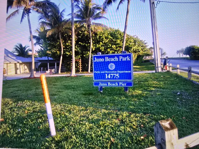  Unit 204 photo 30