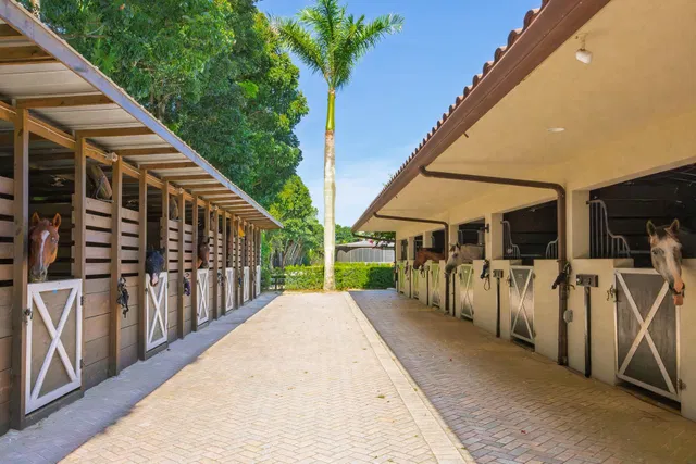 Unit (Stalls) photo 12