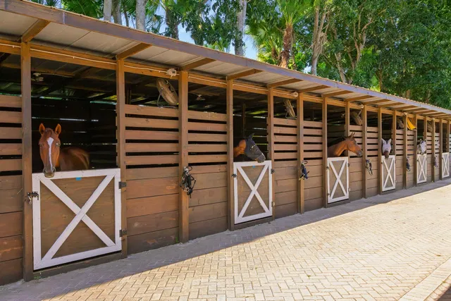 Unit (Stalls) photo 16