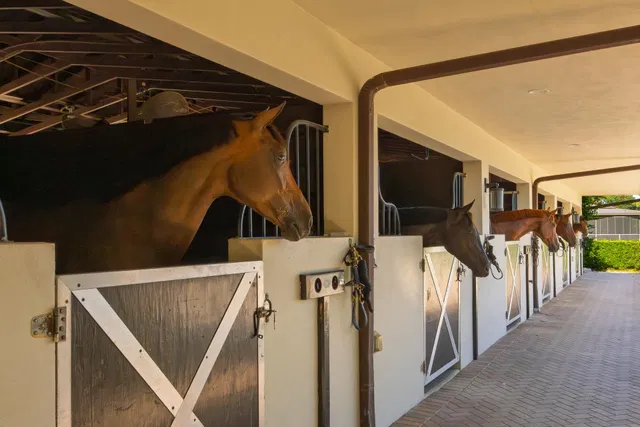 Unit (Stalls) photo 21