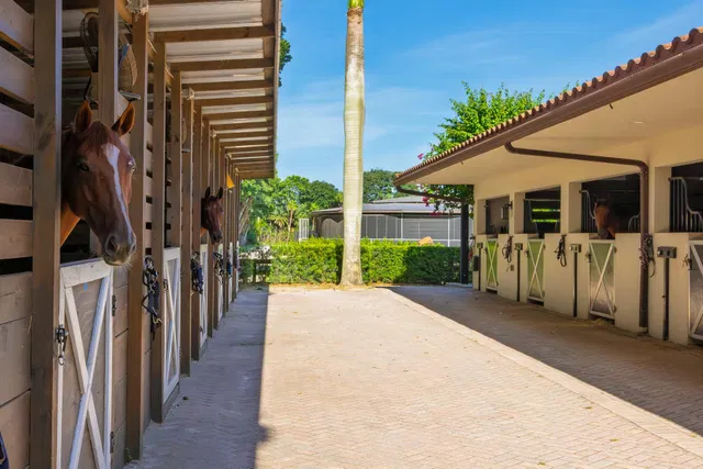 Unit (Stalls) photo 48