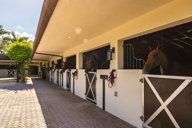 Unit (Stalls) photo 55