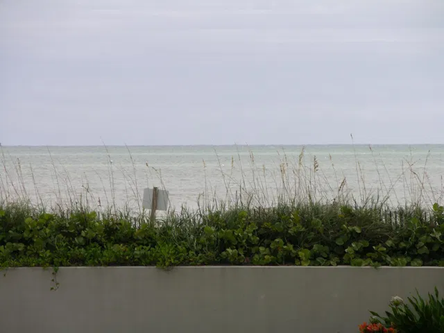 Water Glades Unit 2b photo 47