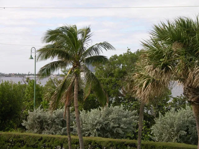 Water Glades Unit 2b photo 48