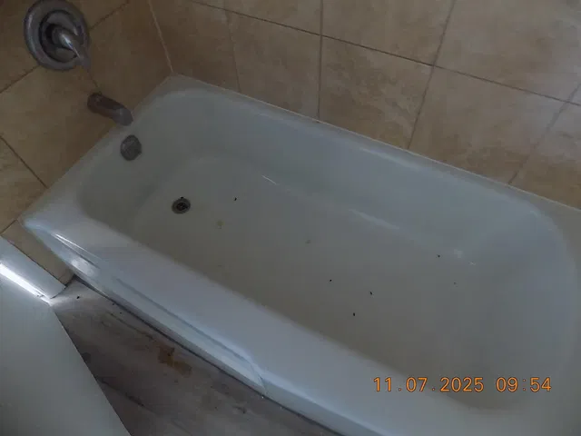 Unit 501 photo 14