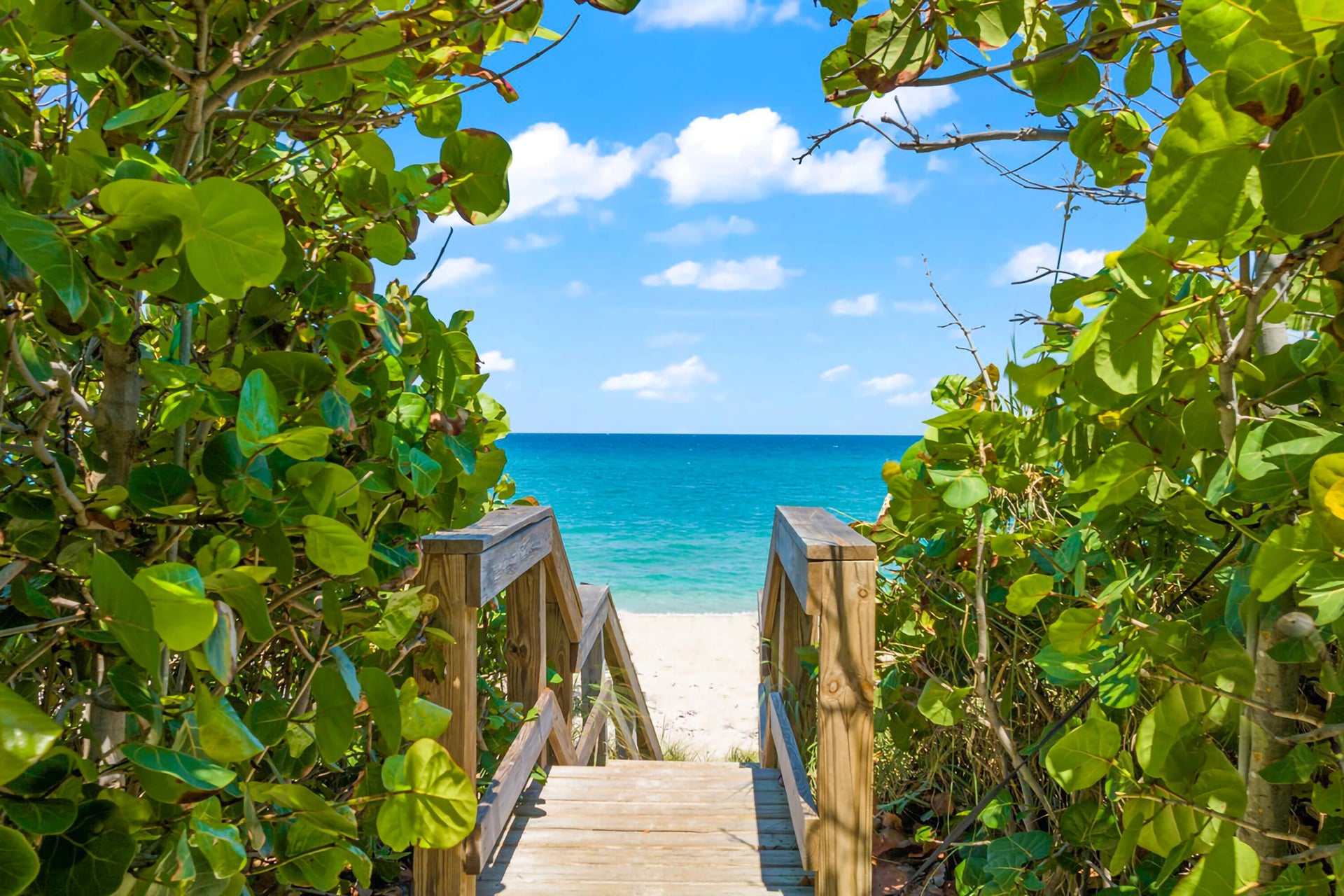 Boynton Beach Park Residence photo 5