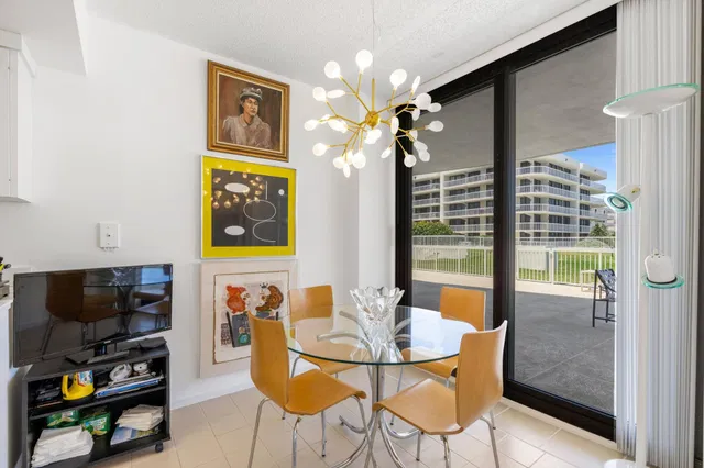 The Meridian Unit 103s photo 14