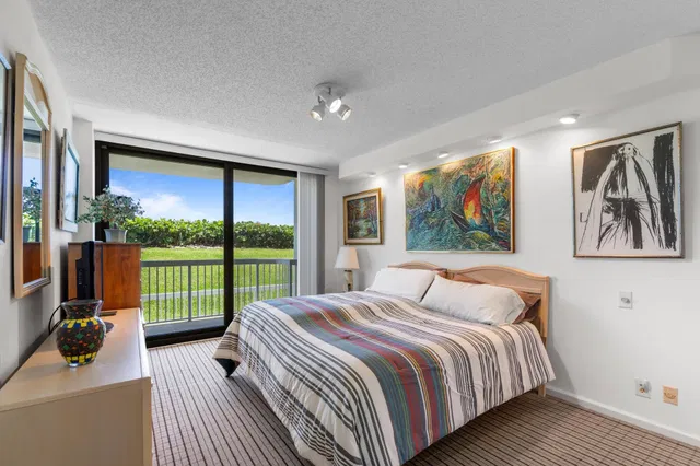 The Meridian Unit 103s photo 15