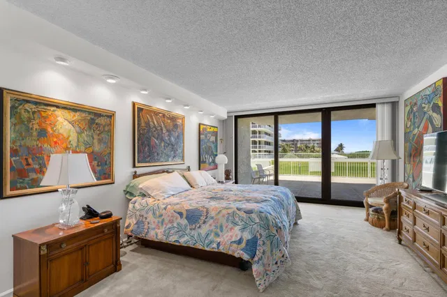 The Meridian Unit 103s photo 39