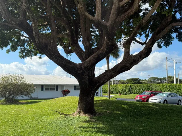 Unit 152 photo 2