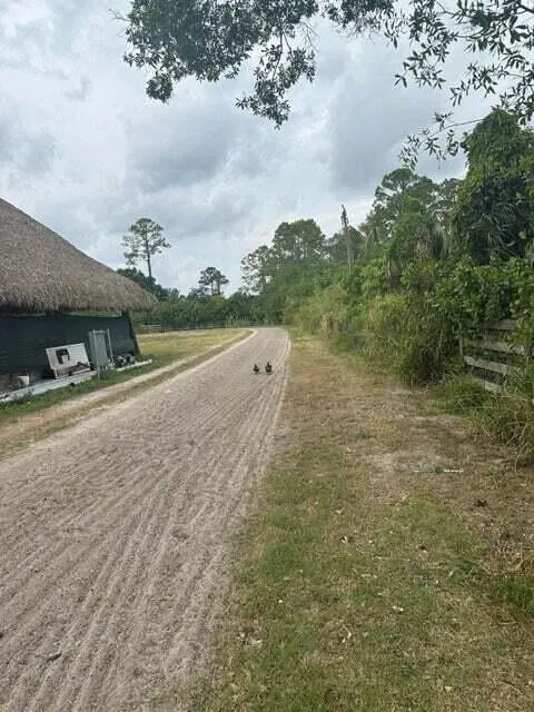 Residence photo 3