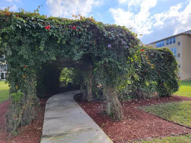Unit 305 photo 37