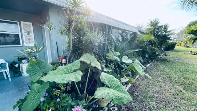 Unit B photo 18