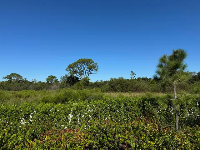 Panther National Palm Beach Gardens Residence photo 6