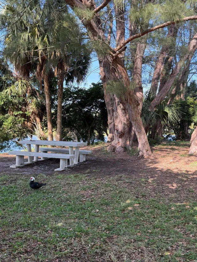  Unit 209 photo 21