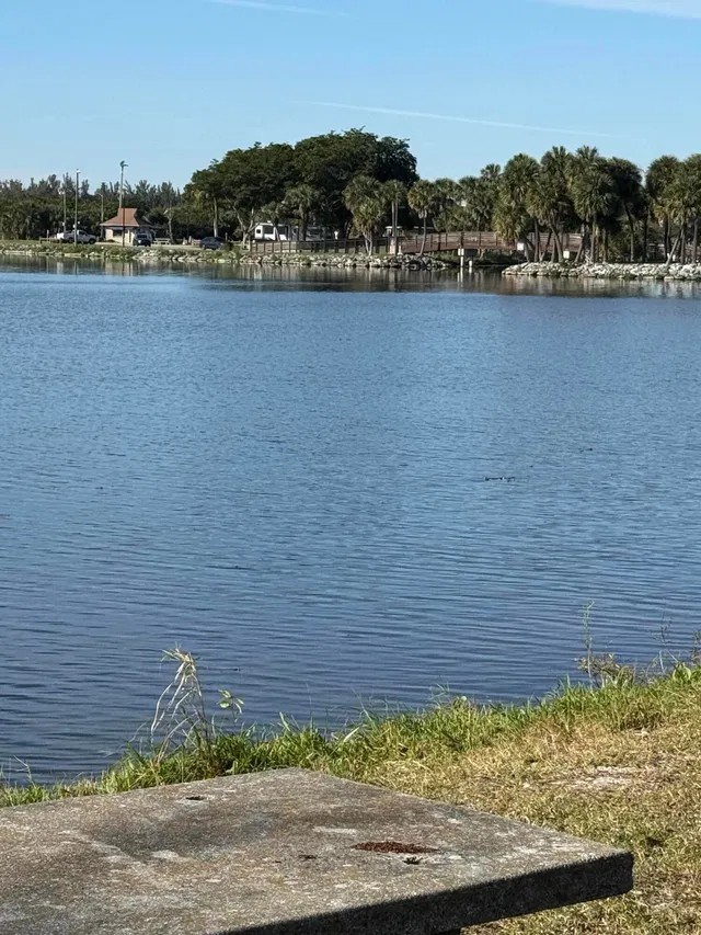  Unit 209 photo 22