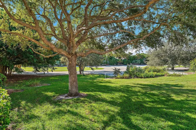 Jupiter Hills Residence photo 49