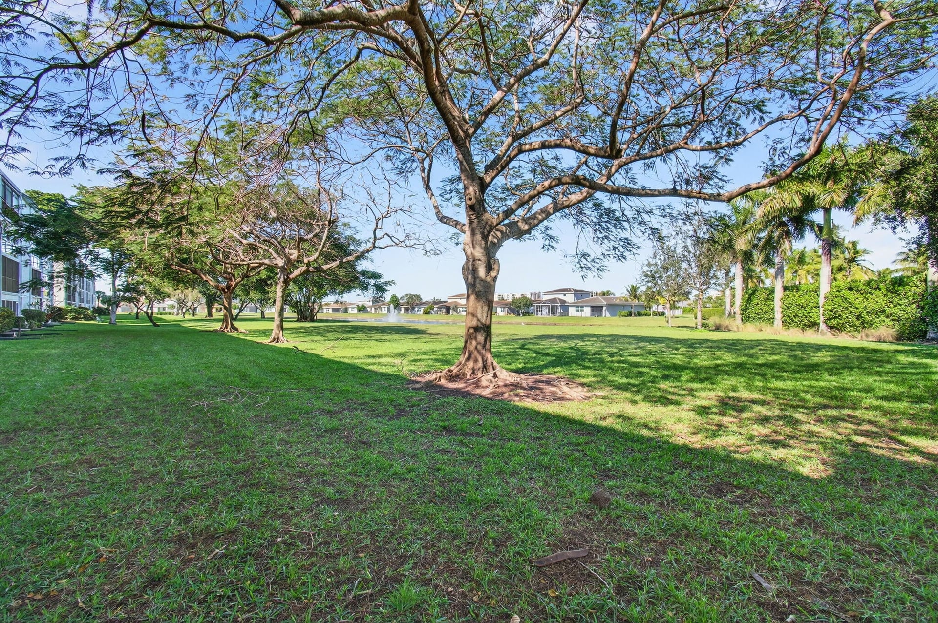 Unit 1080 photo 36