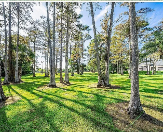 Homeland Residence photo 14