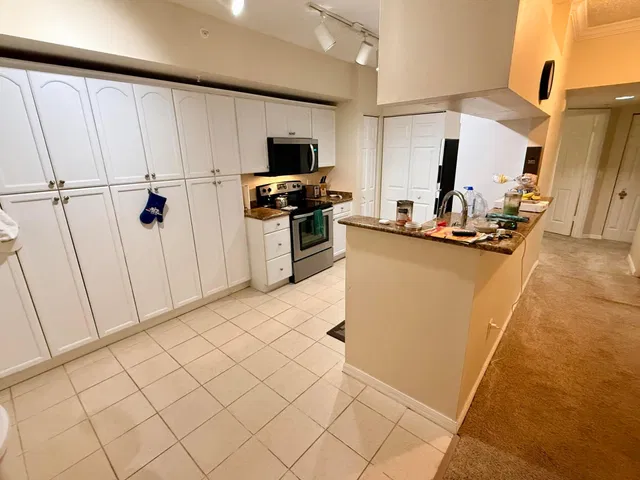 Unit 4102 photo 9