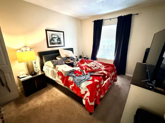 Unit 4102 photo 11