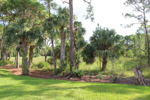 Willoughby Golf Club Residence photo 29