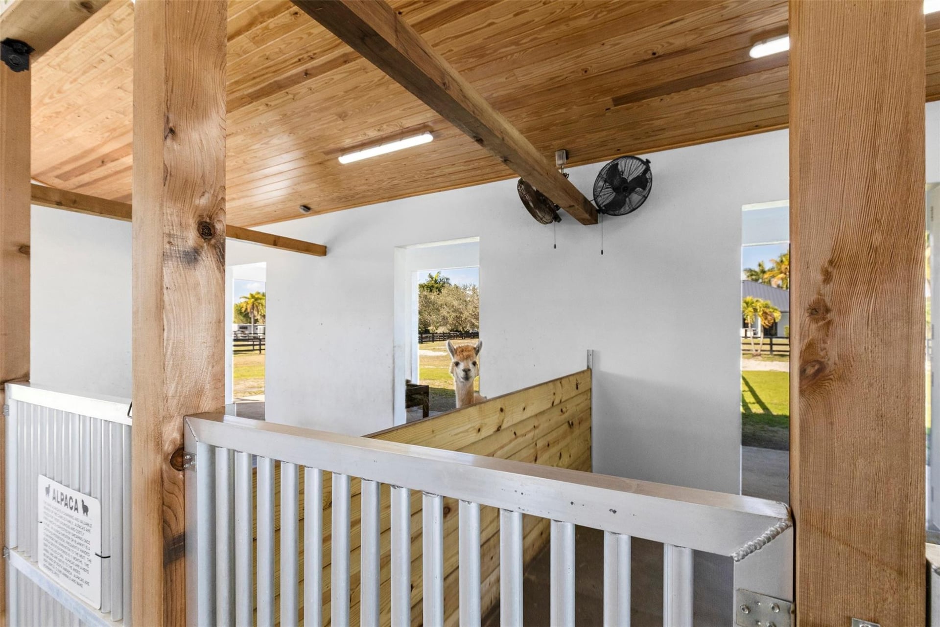 Paddock Park 2 Residence photo 5