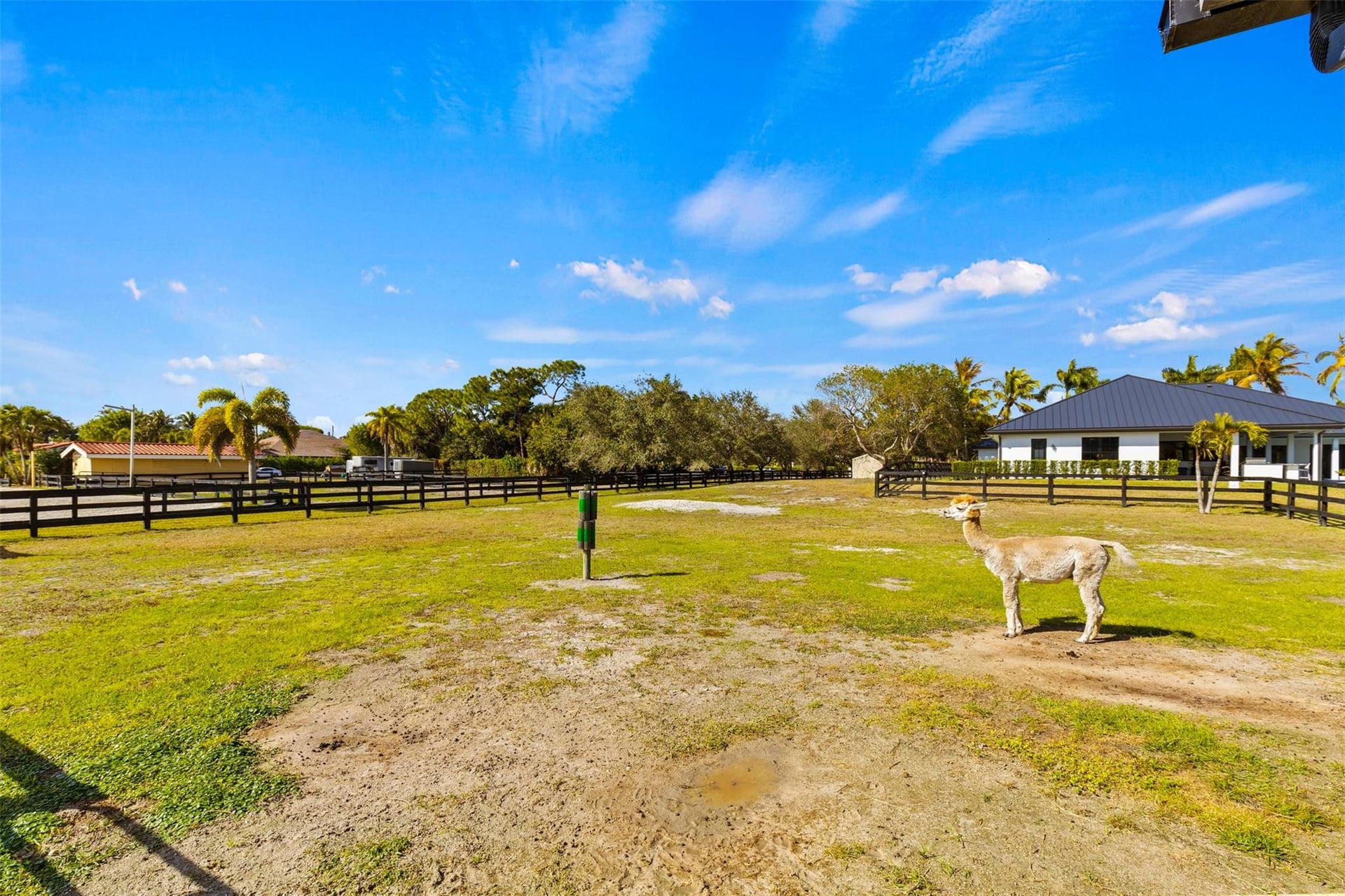 Paddock Park 2 Residence photo 56