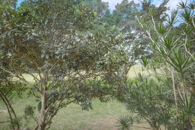 Unit 201 photo 22