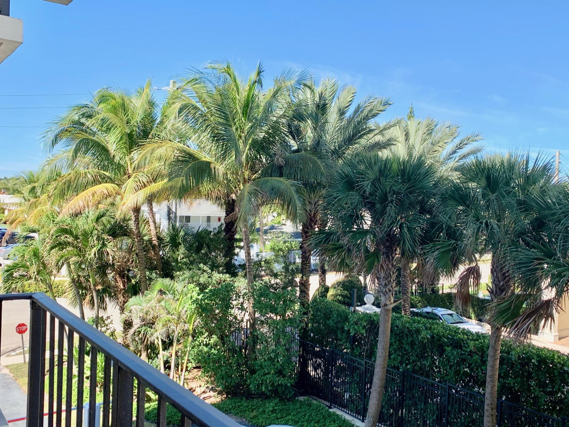 Singer Island Unit 303 photo 16