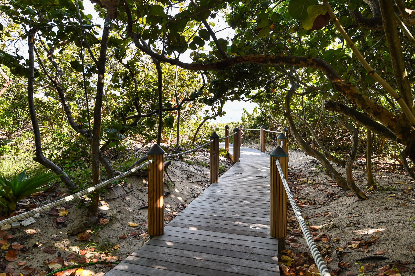 Singer Island Unit 303 photo 28