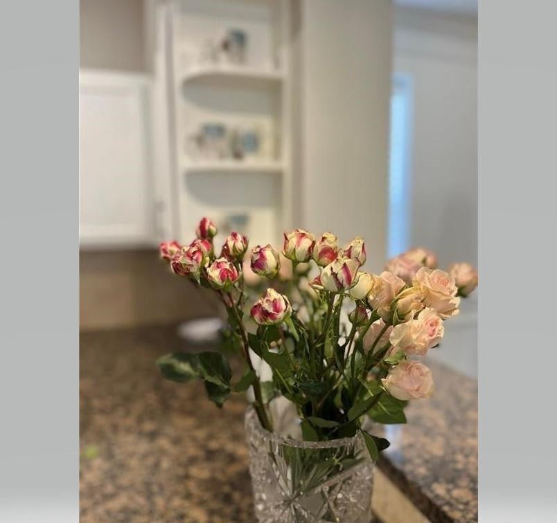 Unit 308 photo 8