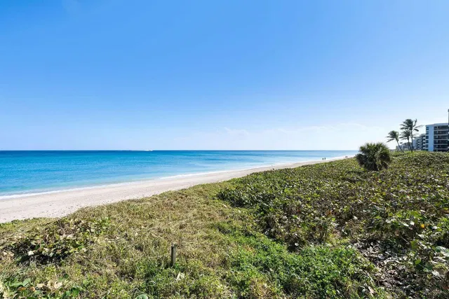 Miraflores Palm Beach Unit 306n photo 59