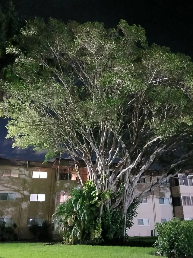 Unit 309 photo 66