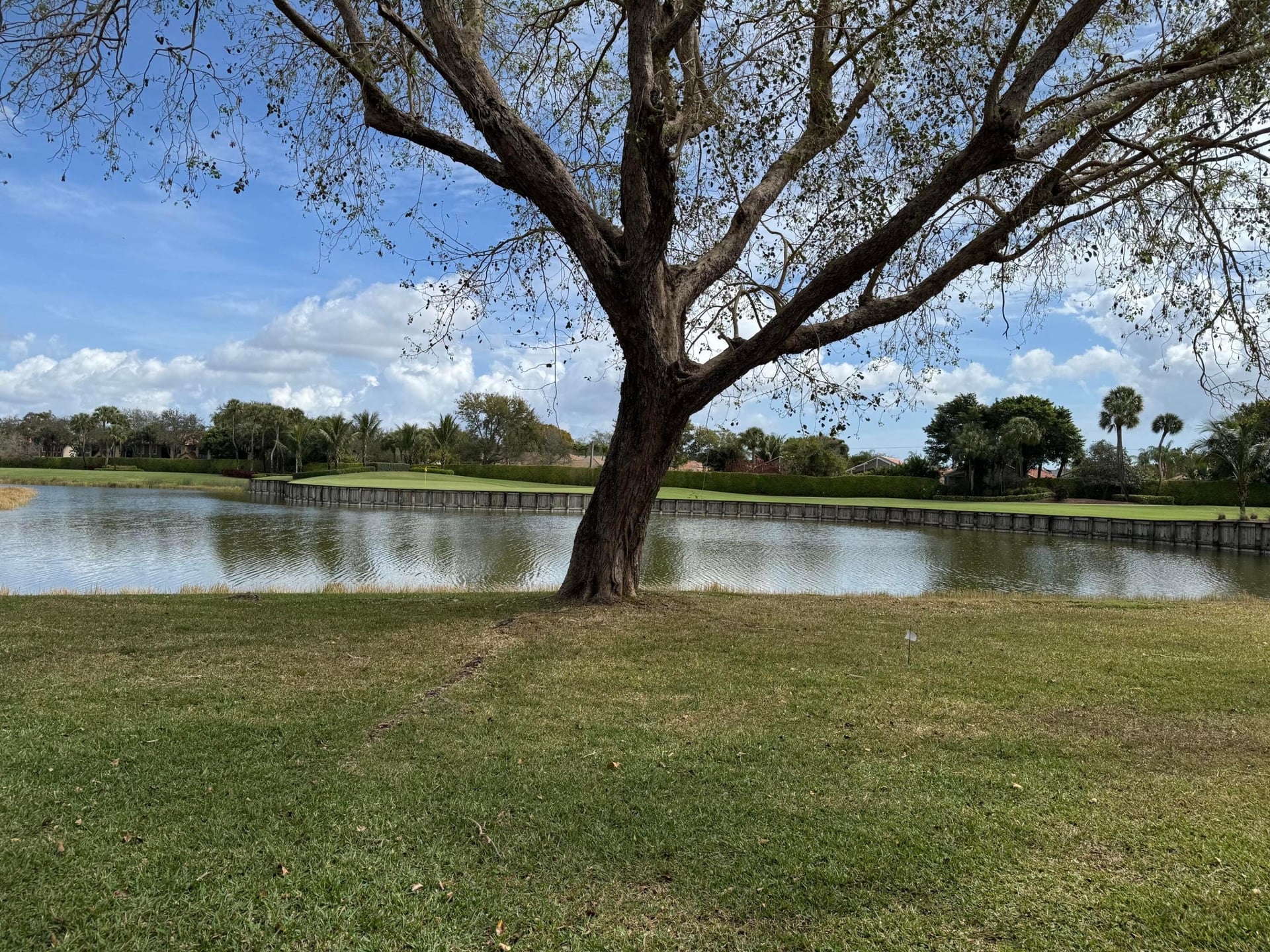 Unit 12501 photo 33