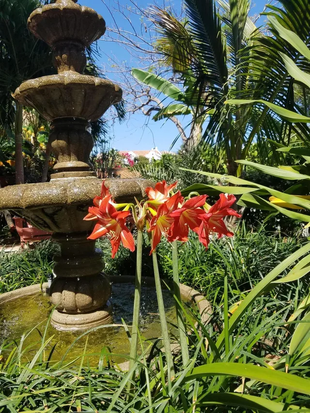 Downtown Delray Beach Unit Coco Palm Ste photo 63