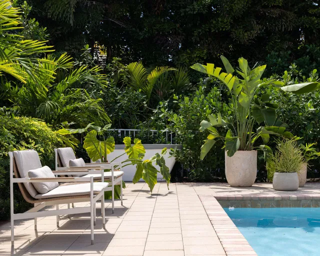 Martinique Abacoa Residence photo 8