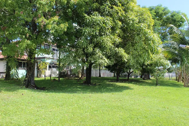 Residence photo 8