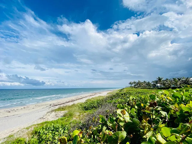 Boynton Beach Club Unit 1203 photo 26
