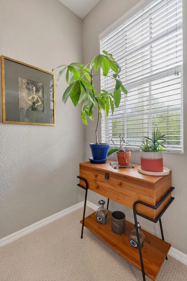 Botanica Unit 103 photo 21